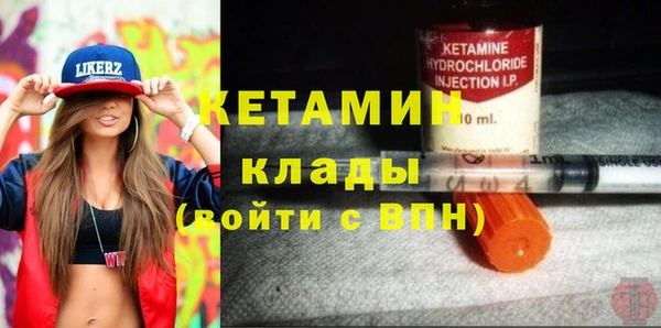 гашик Алексин