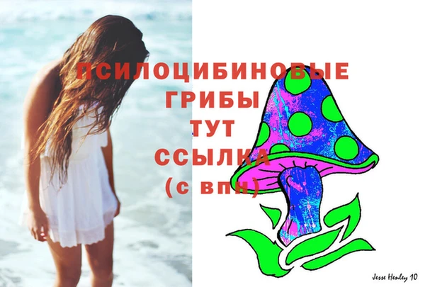 гашик Алексин