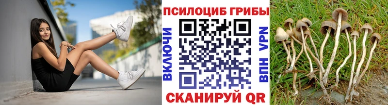 Галлюциногенные грибы прущие грибы  наркошоп  Сольвычегодск 